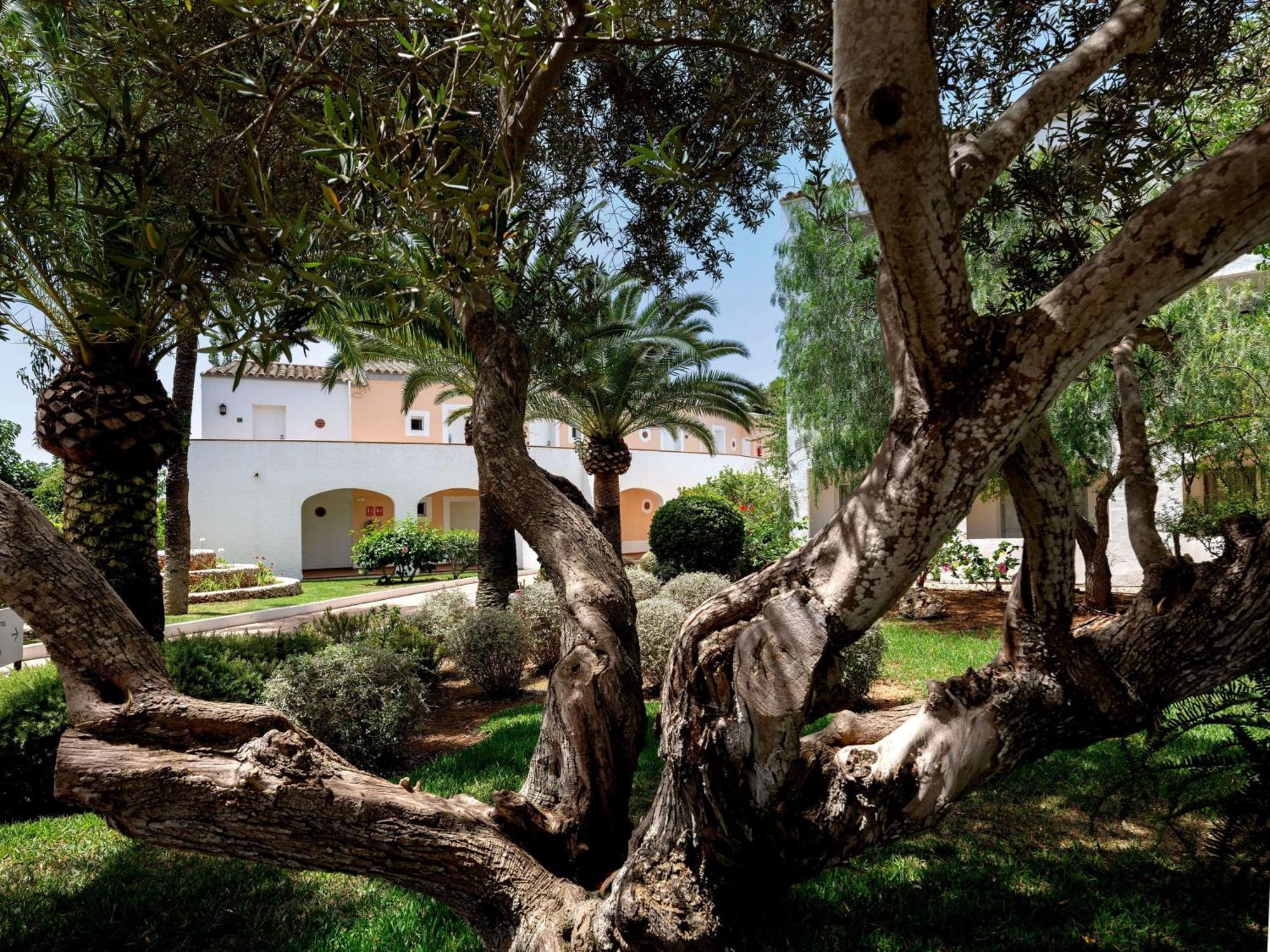 Sol Falco Menorca Son Xoriguer Ngoại thất bức ảnh